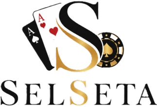 Selseta logo